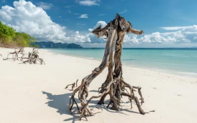 Bestpreisgarantie | Über Travala mit Kryptowährungen in den Urlaub