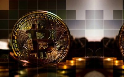 Bitcoin nicht im Bullenzyklus, sondern im Superzyklus?! Erklärt Kraken Growth Lead Dan Held