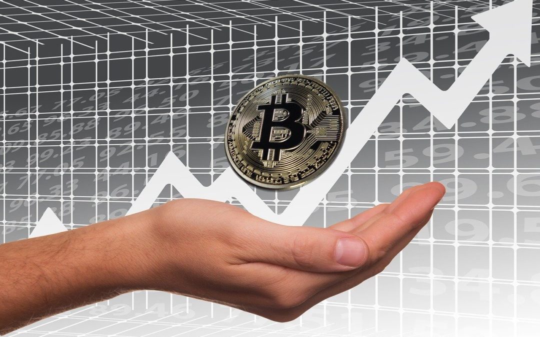 Elon Musk bringt Dogecoin zum Pumpen und erzeugt einen neuen Bitcoin Hype