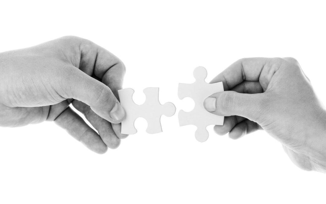 Cardano kündigt nach erfolgreichem Alonzo Upgrade neue große Partnerschaften an!