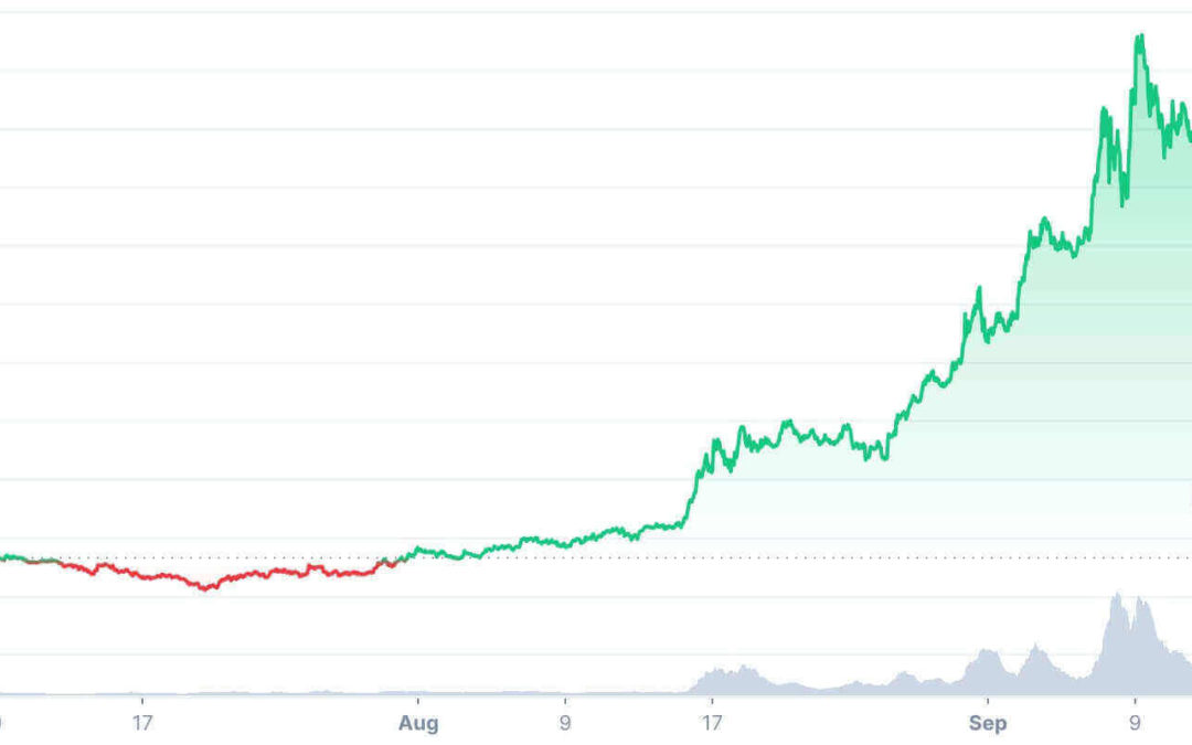 Alles was du zum Hype vom Solana Coin wissen musst und warum es jetzt erstmal abwärts geht!