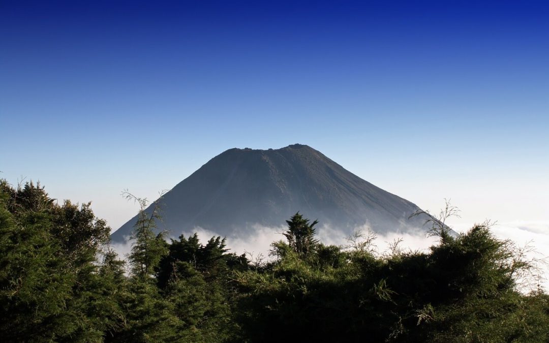 El Salvador: Bau von vulkanischer Bitcoin-Mininganlage beginnt!