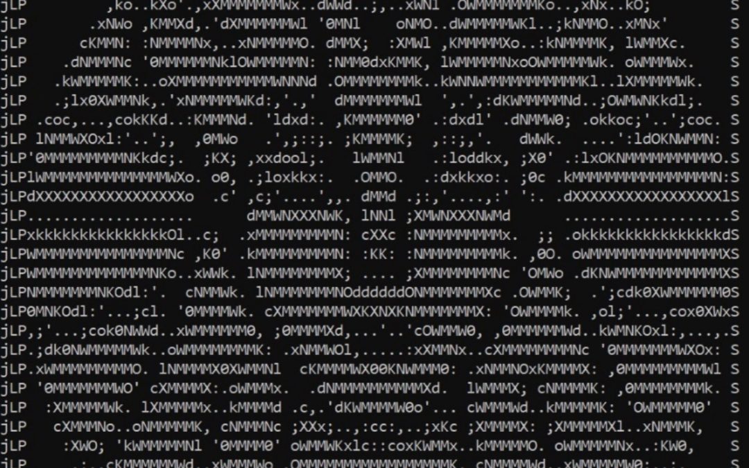 Krypto Fonds Valkyrie verewigt Logo in der Bitcoin Blockchain