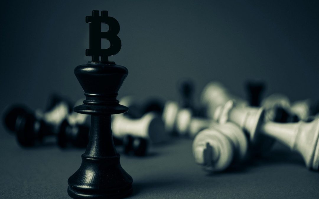 Präsident Bukele: El Salvador will mit Bitcoin-Gewinnen 20 Schulen bauen!