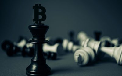 Präsident Bukele: El Salvador will mit Bitcoin-Gewinnen 20 Schulen bauen!