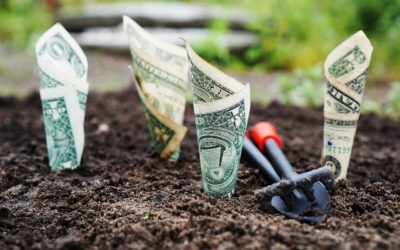 14 Mrd. USD Bewertung von Blockchain.com und NFT Domains