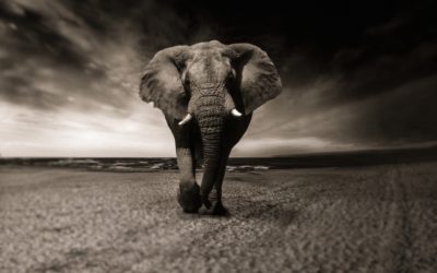 Bitcoin in Afrika