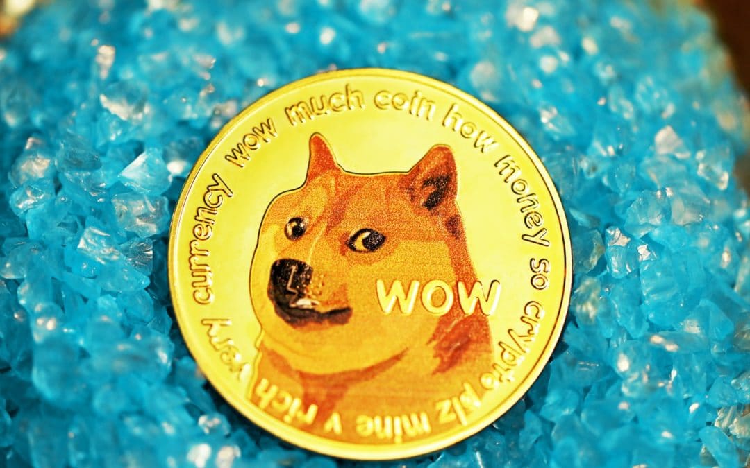 DOGE – ist diese Kryptowährung, unterstützt von Elon Musk wirklich ein gutes Investment?