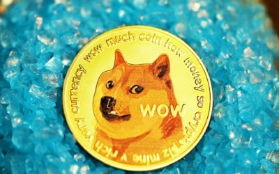 DOGE – ist diese Kryptowährung, unterstützt von Elon Musk wirklich ein gutes Investment?