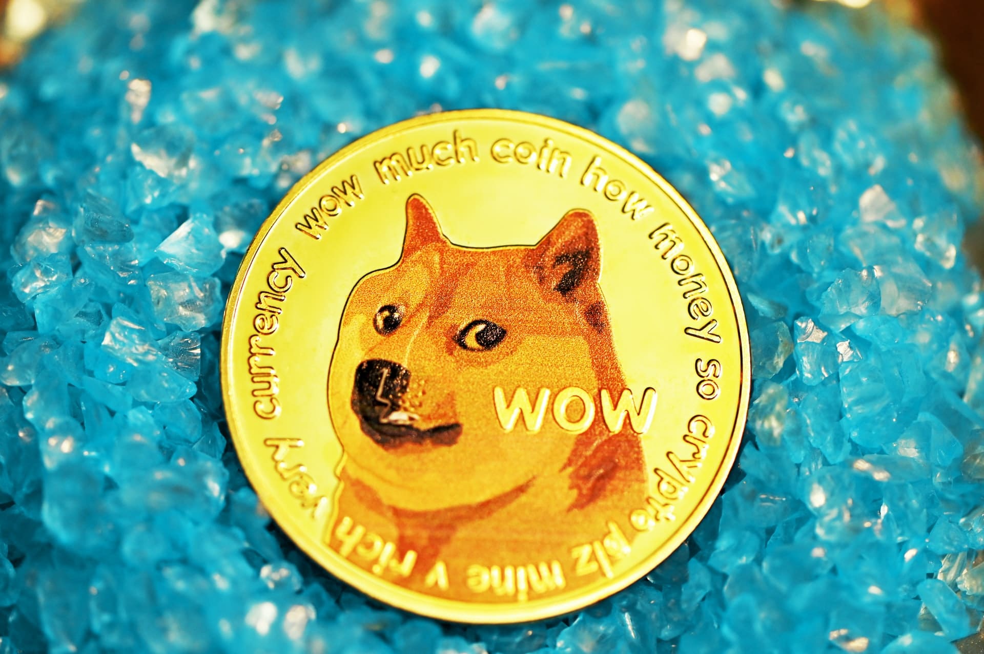 DOGE – ist diese Kryptowährung, unterstützt von Elon Musk wirklich ein ...