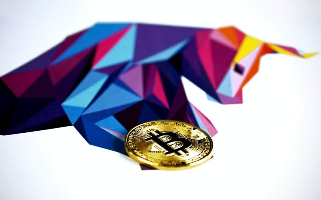 Warum Du bei der Bitcoin Ralley um die $22.000 vorsichtig sein solltest …