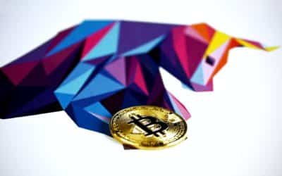 Warum Du bei der Bitcoin Ralley um die $22.000 vorsichtig sein solltest …