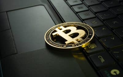 Nicht zu glauben: Dieses Asset ist die bestperformende Kryptowährung im bearishen Q3