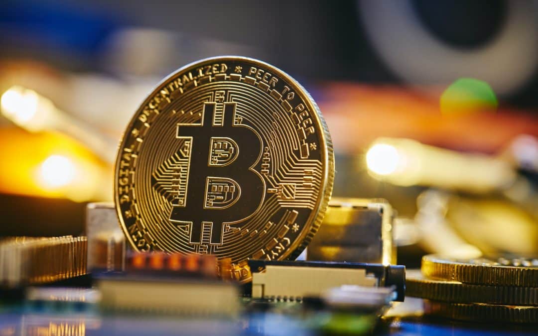 Bitwise-CEO: Nächster Bullrun wird im Jahr 2023 beginnen?