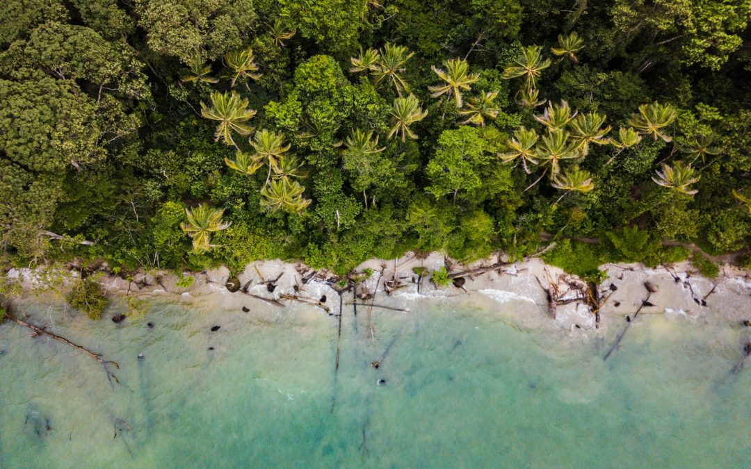Costa Rica: Das nächste Land mit Bitcoin als regulierte Währung?