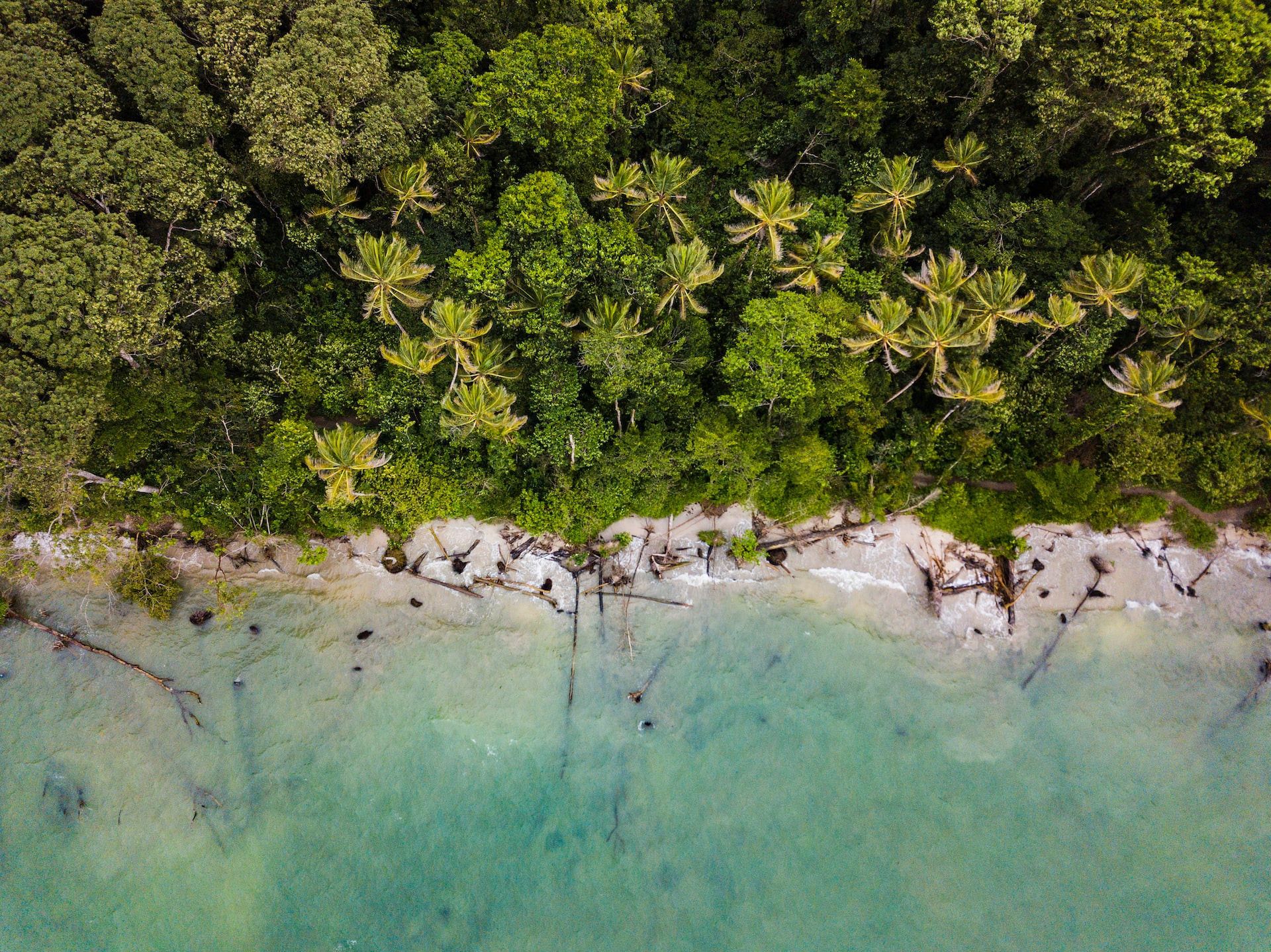 Costa Rica könnte das nächste Land sein, das Bitcoin als regulierte Währung einführt