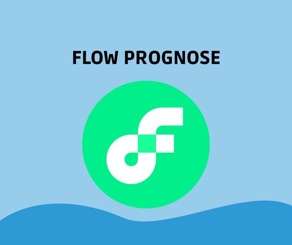 Flow Prognose