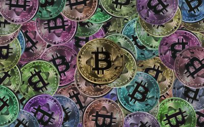 Warum Bitcoin die ultimative Technologie zur Vermögenserhaltung ist
