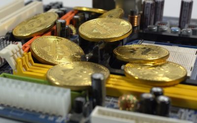 Dieses Land kauft ab morgen jeden Tag 1 Bitcoin