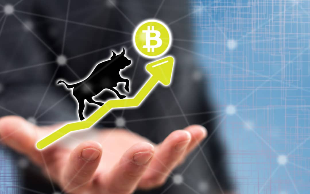 Bitcoin: Institutionelle Investoren sehen Ende des Bärenmarkts