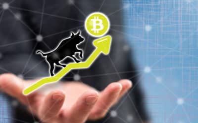 Bitcoin: Institutionelle Investoren sehen Ende des Bärenmarkts