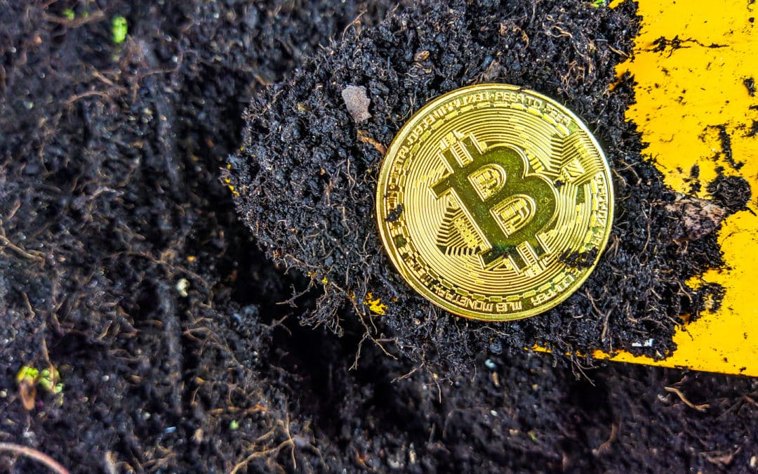 Bitcoin Halving 2024 – darüber spricht niemand!