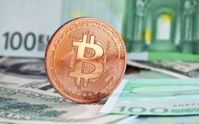 Die Bitcoin Verteilung im Vergleich zum Fiat-Geld