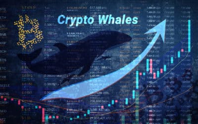 Was ist ein Crypto Whale?
