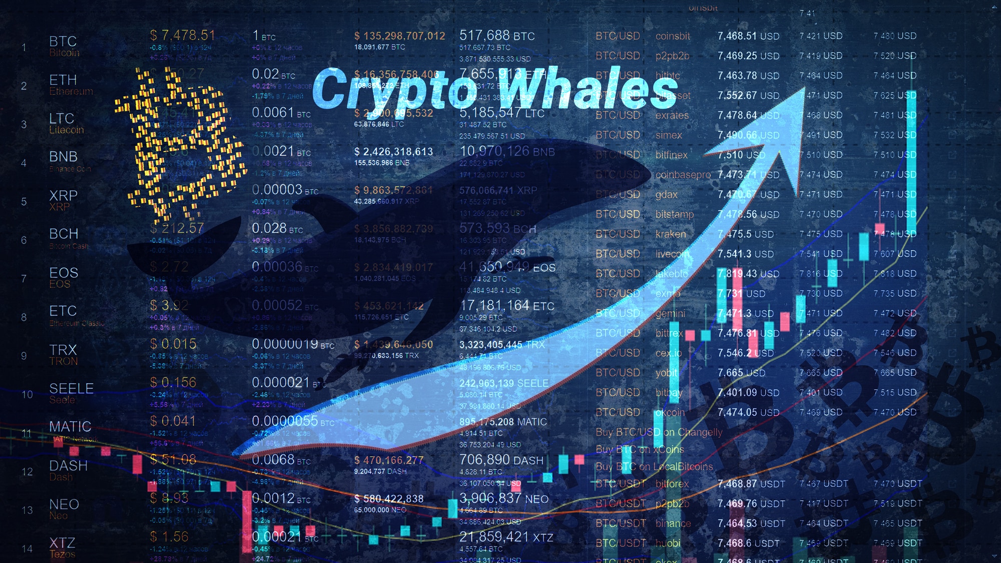 Was ist ein Crypto Whale?