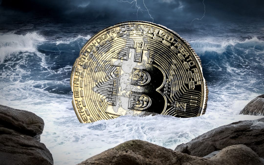 Bitcoin und Kryptos trotzen dem Sturm