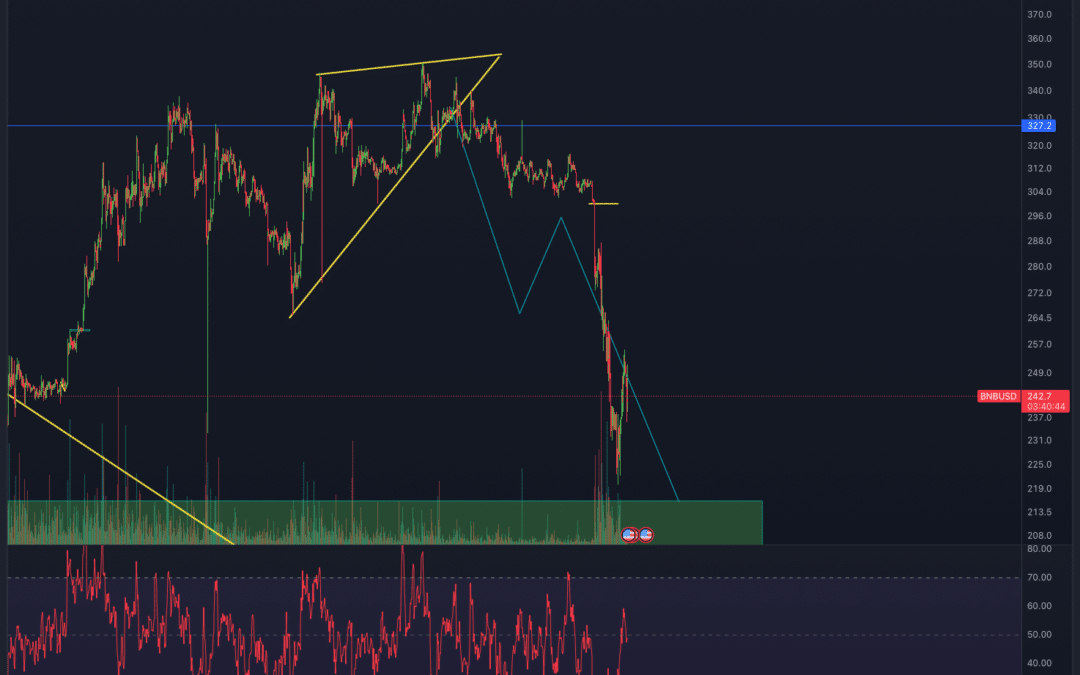 BinanceCoin (BNB) Chartanalyse – Dump bereits vorbei?
