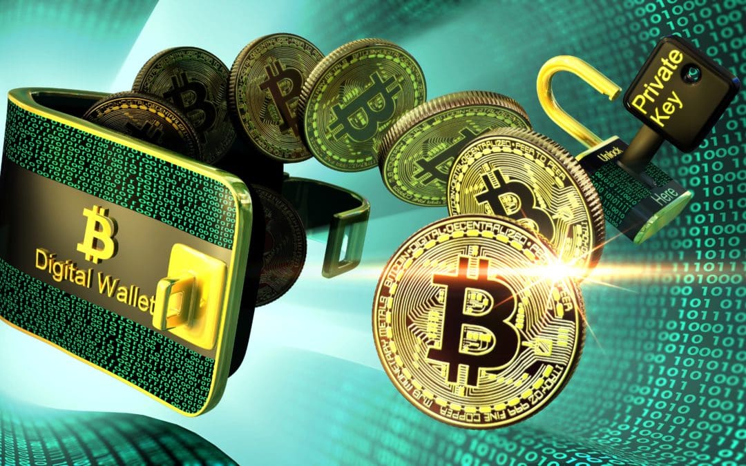 Bitcoin-Angebot: Neuer Rekord bei unbewegtem Angebot