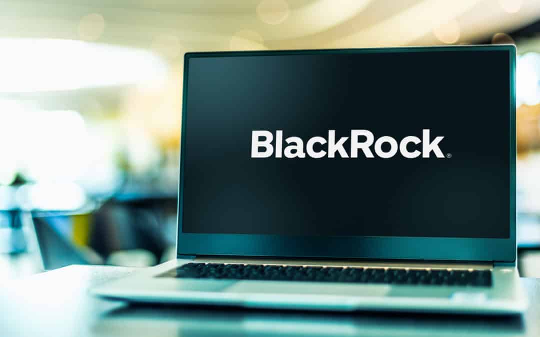 Der Game-Changer: BlackRock geht historischen Schritt & beantragt einen Bitcoin-ETF
