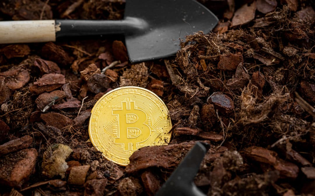 Die Knappheit von Bitcoin und ihr Wert: Warum Bitcoin das knappste Gut der Welt ist
