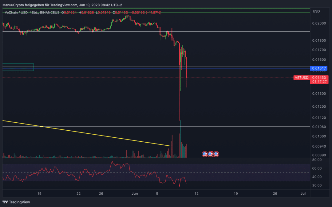 VeChain (VET) Chartanalyse – Weiterer Crash?