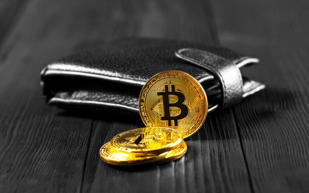 Bitcoin Wallets mit 1+ Coins erreichen historischen Höchststand von 1.009.850