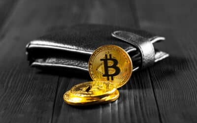 Bitcoin Wallets mit 1+ Coins erreichen historischen Höchststand von 1.009.850