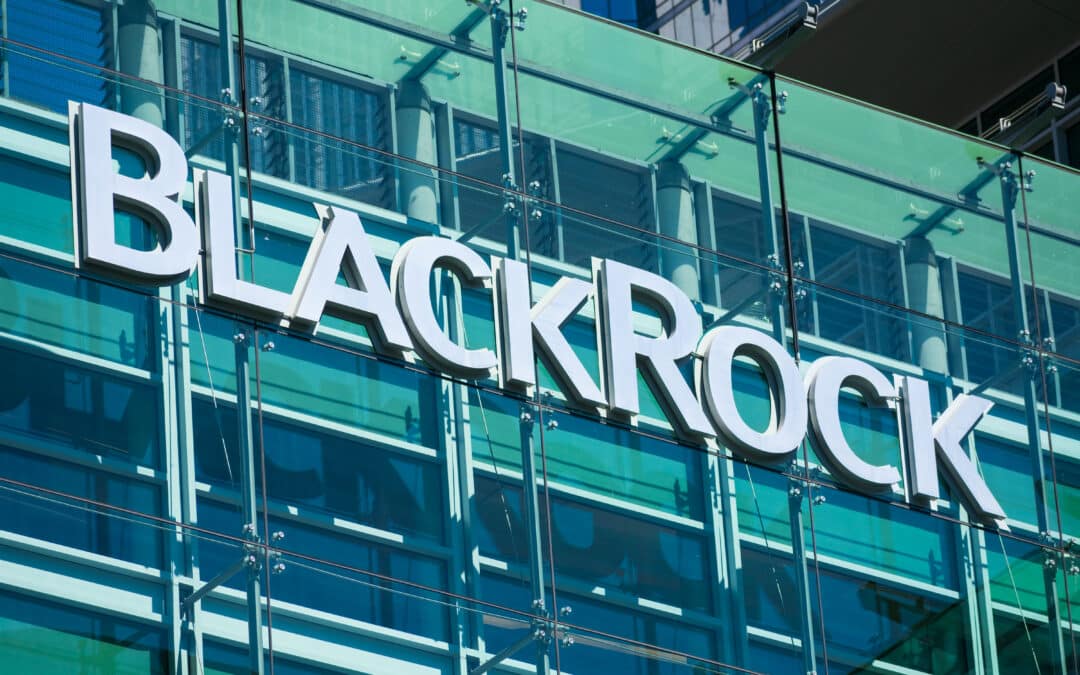 BlackRock CEO: Krypto wird jede internationale Währung übertreffen