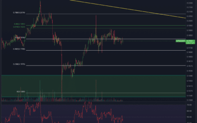 IOTA Chartanalyse – Korrektur voraus?