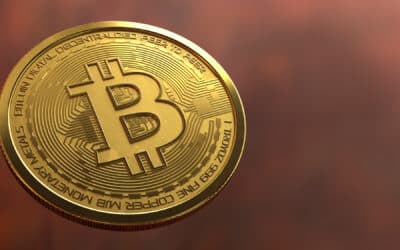Bitcoin Maximalist: Gerechtfertigt oder übertrieben?
