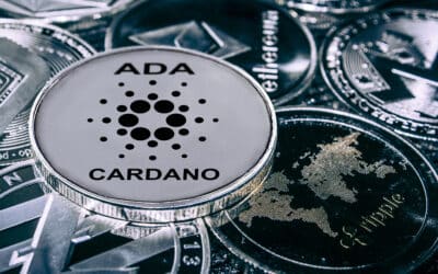 Cardano stellt jetzt neue Hydra-Version vor