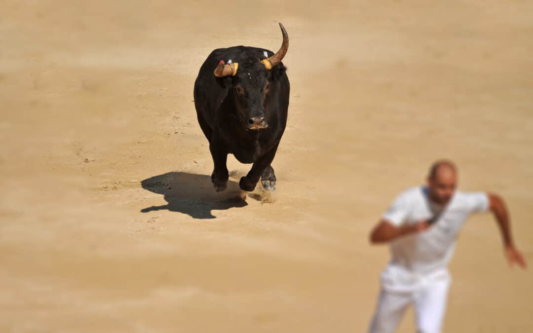 Der letzte wahnsinnige parabolische Bullrun – Ende 2023 (Anfang 2024)
