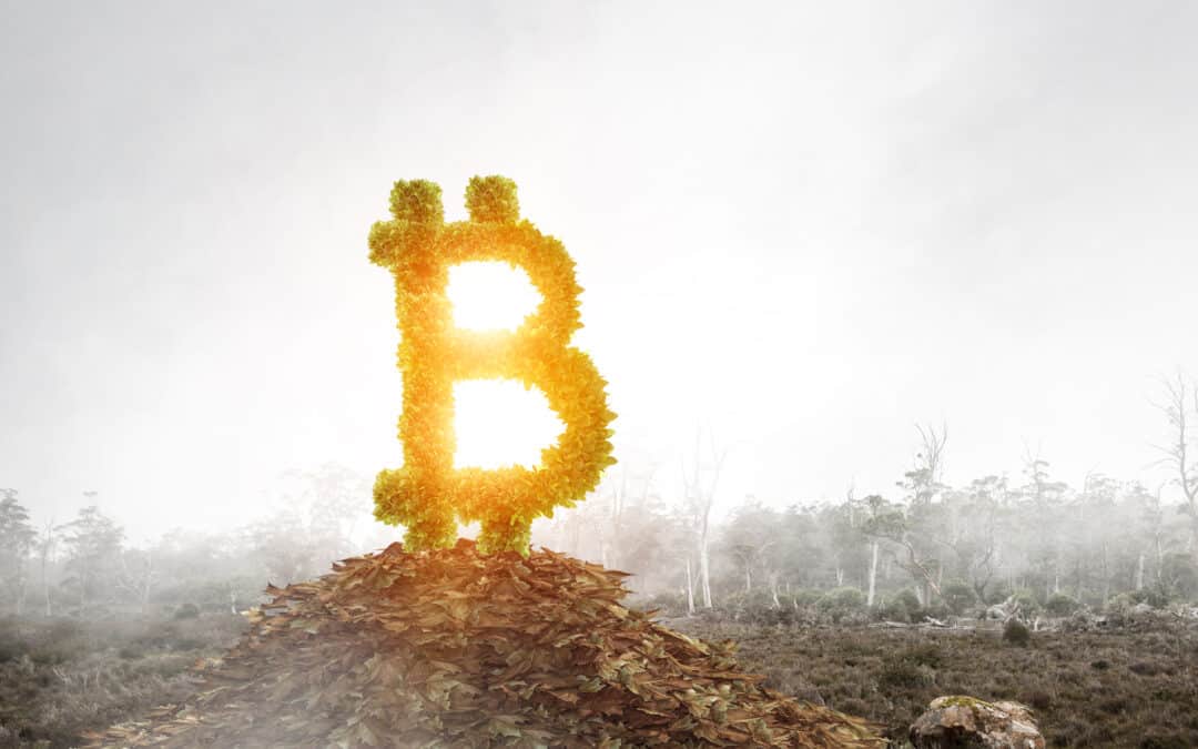Bitcoin und die Energiewende: Das Narrativ im Wandel