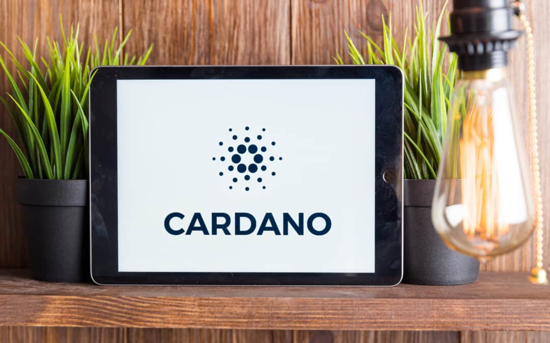 Cardano-Entwickler intensivieren die Arbeit an P2P-Funktionalitäten
