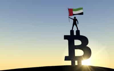 MENA-Region: Weltweit schnellstes Wachstum der Kryptowirtschaft
