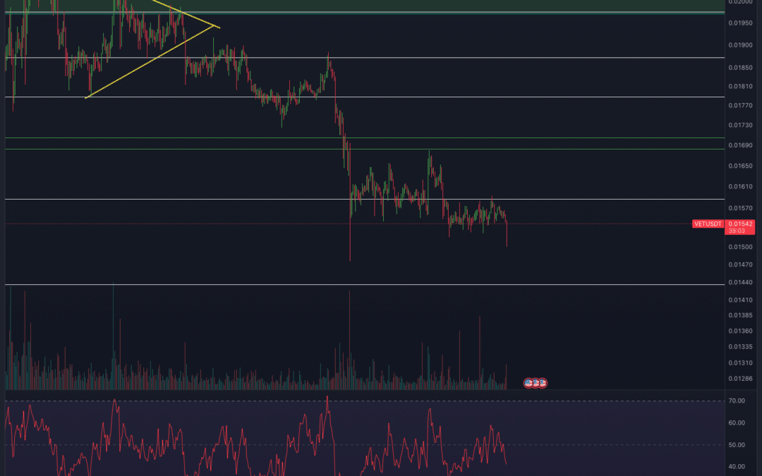 VeChain (VET) & Fetch.ai (FET) – Altcoin Chartanalyse