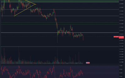 VeChain (VET) & Fetch.ai (FET) – Altcoin Chartanalyse