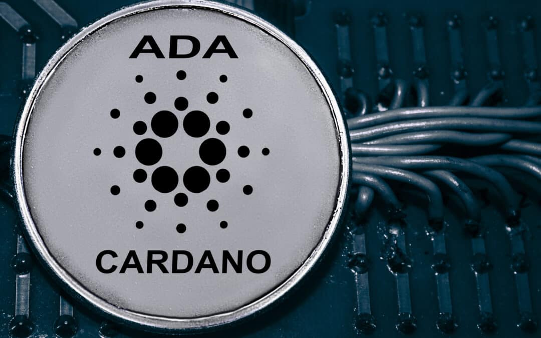 Cardano-Gründer umwirbt ehemaligen Kraken-CEO