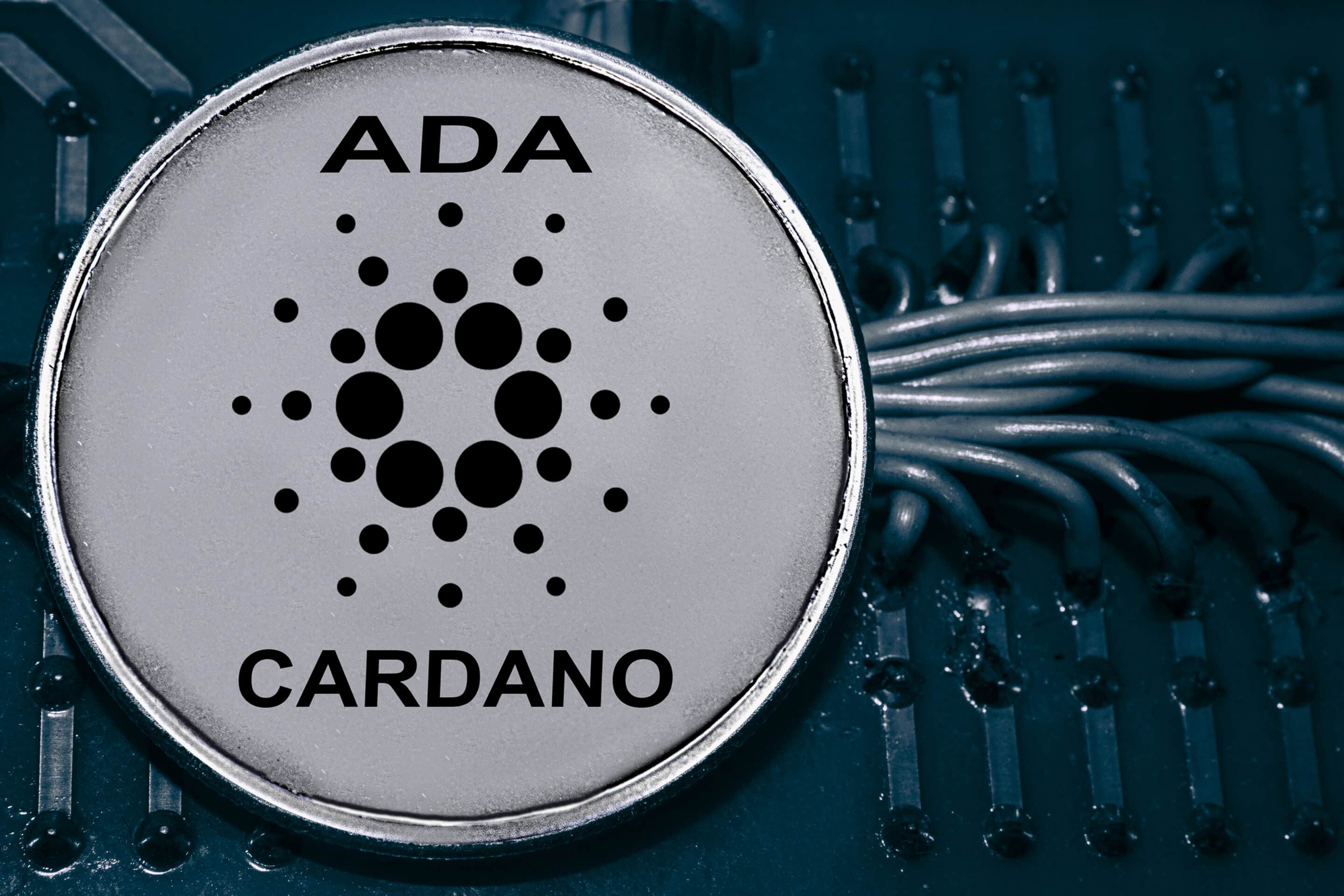 Cardano-Gründer