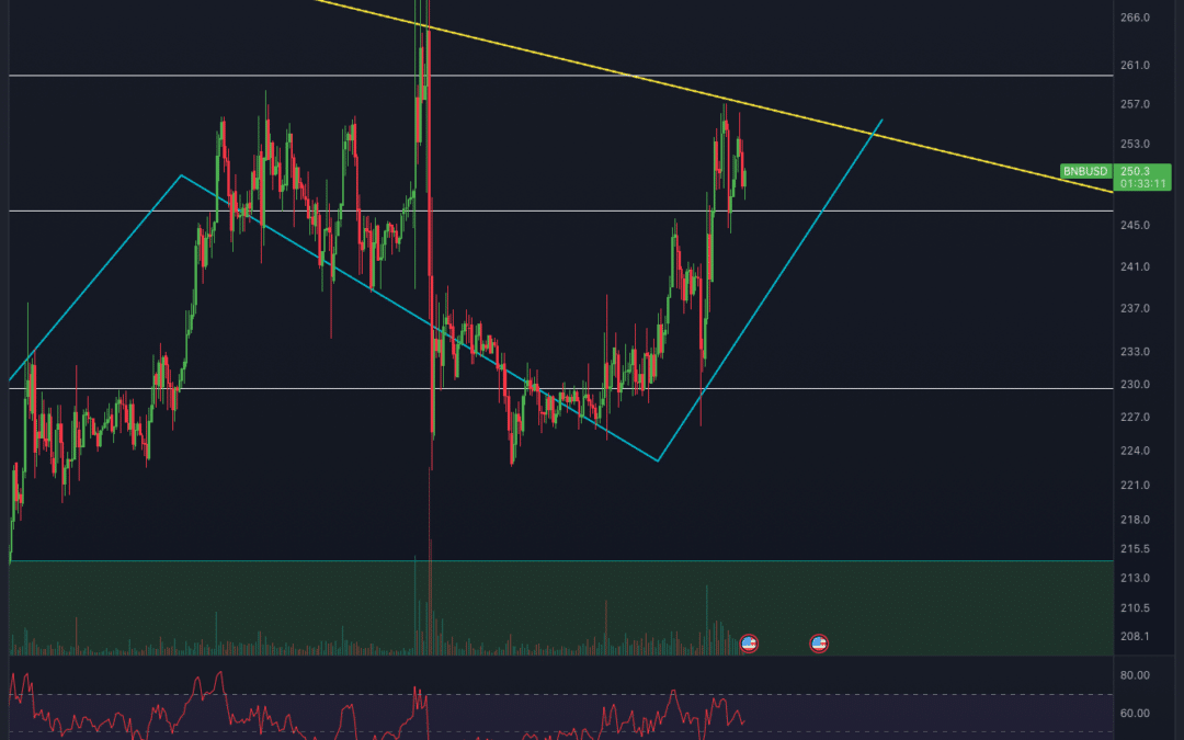 BinanceCoin (BNB) Chartanalyse – 290 USD in Reichweite?